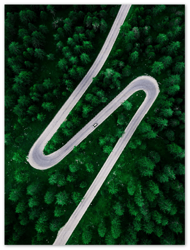 Road Through Forest - Print - MetalPlex