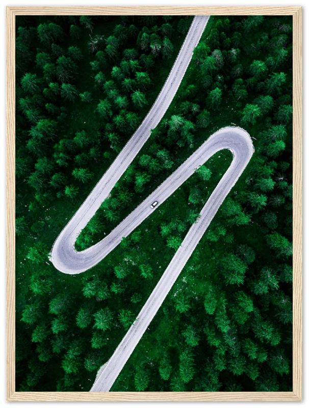 Road Through Forest - Print - MetalPlex