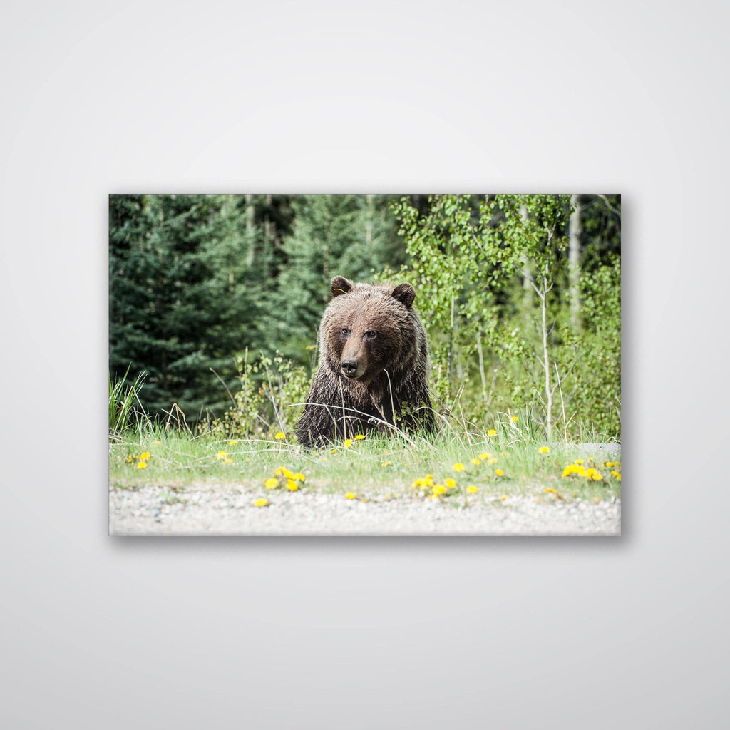 Roadside Bear - Print - MetalPlex