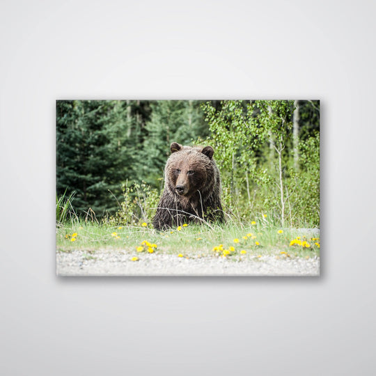 Roadside Bear - Print