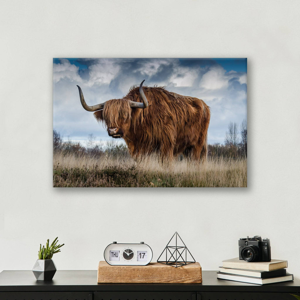 Roaming Yak - Print - MetalPlex