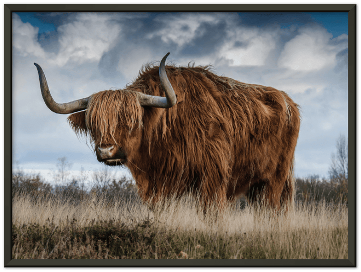 Roaming Yak - Print - MetalPlex