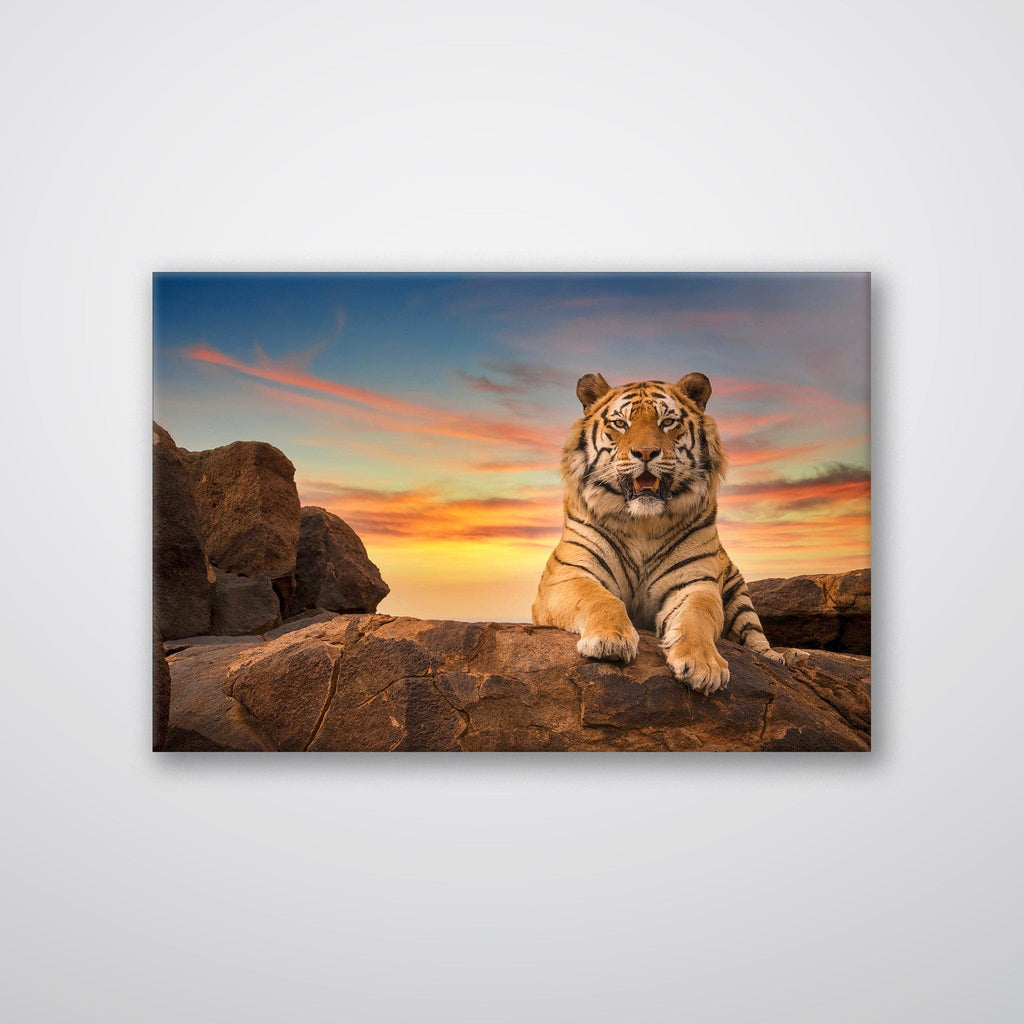 Safari Tiger - Print - MetalPlex