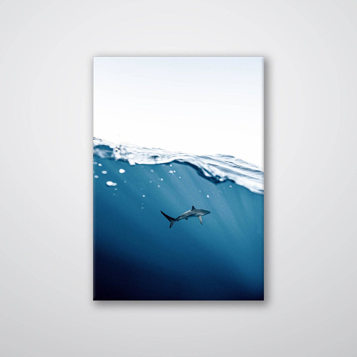Shark Near Surface - Print - MetalPlex