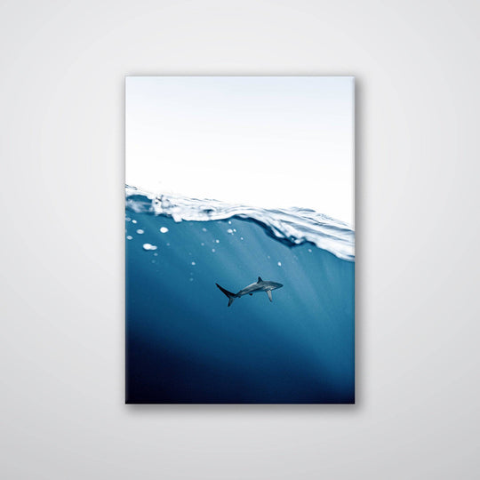 Shark Near Surface - Print
