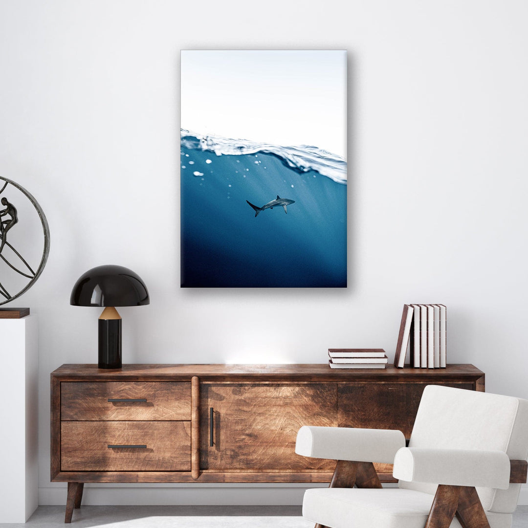 Shark Near Surface - Print - MetalPlex