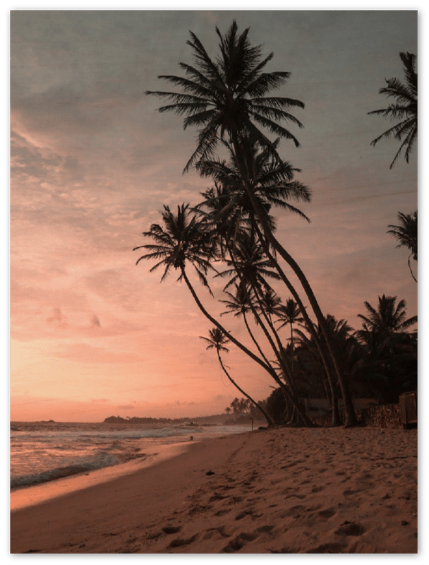 Sri Lanka - Print - MetalPlex