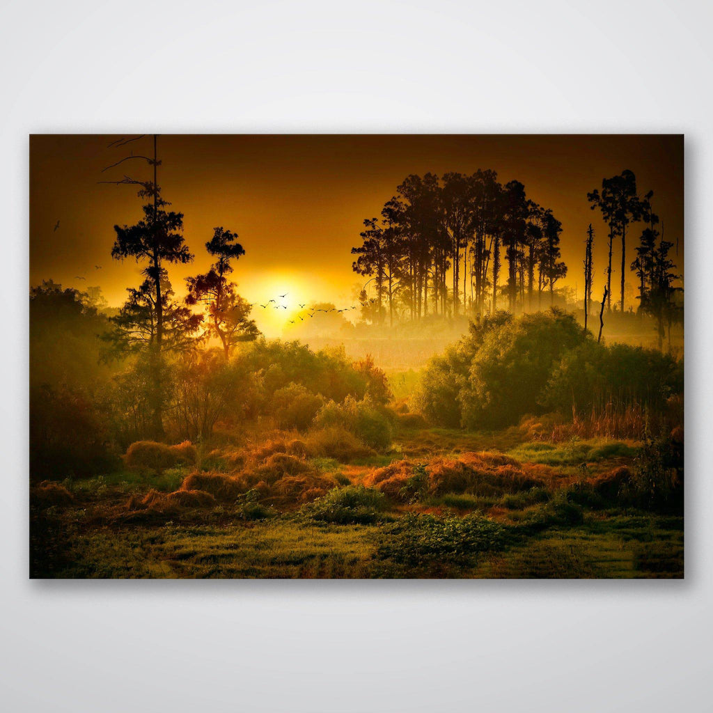 Sunset Forest - Print - MetalPlex