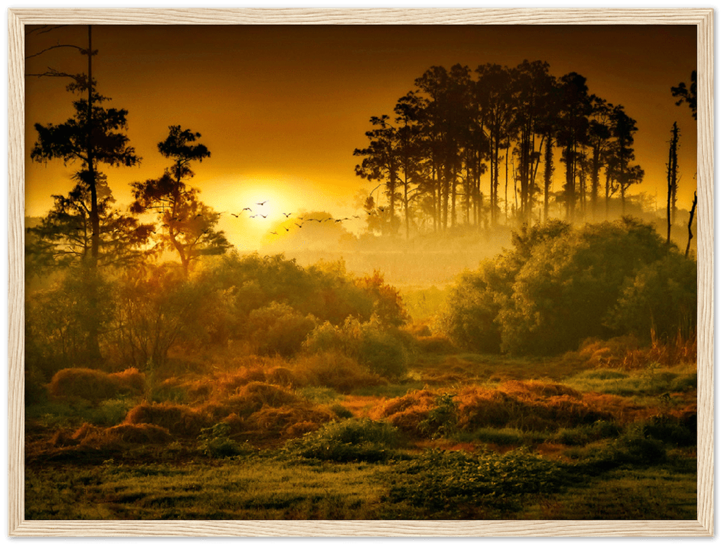 Sunset Forest - Print - MetalPlex