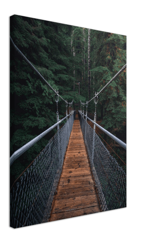Suspension Bridge - Print - MetalPlex