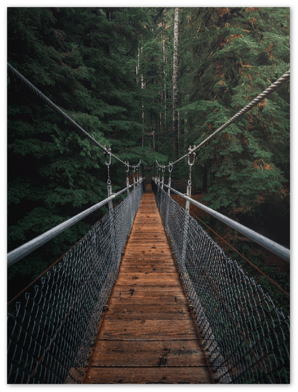 Suspension Bridge - Print - MetalPlex