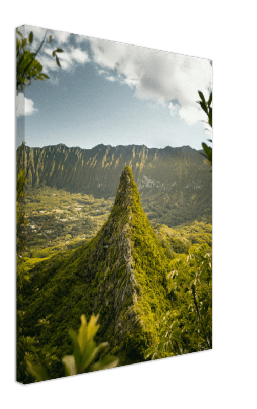 The Big Island - Print - MetalPlex