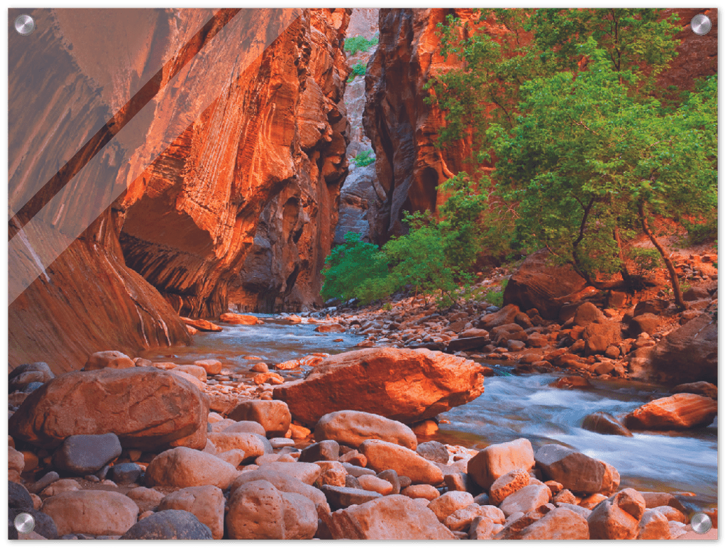 Virgin River, Zion National Park - Print - MetalPlex