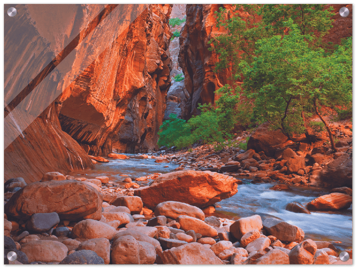 Virgin River, Zion National Park - Print - MetalPlex