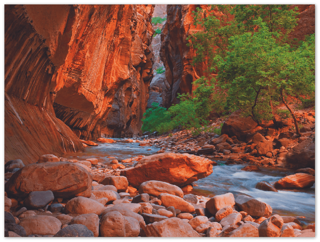 Virgin River, Zion National Park - Print - MetalPlex