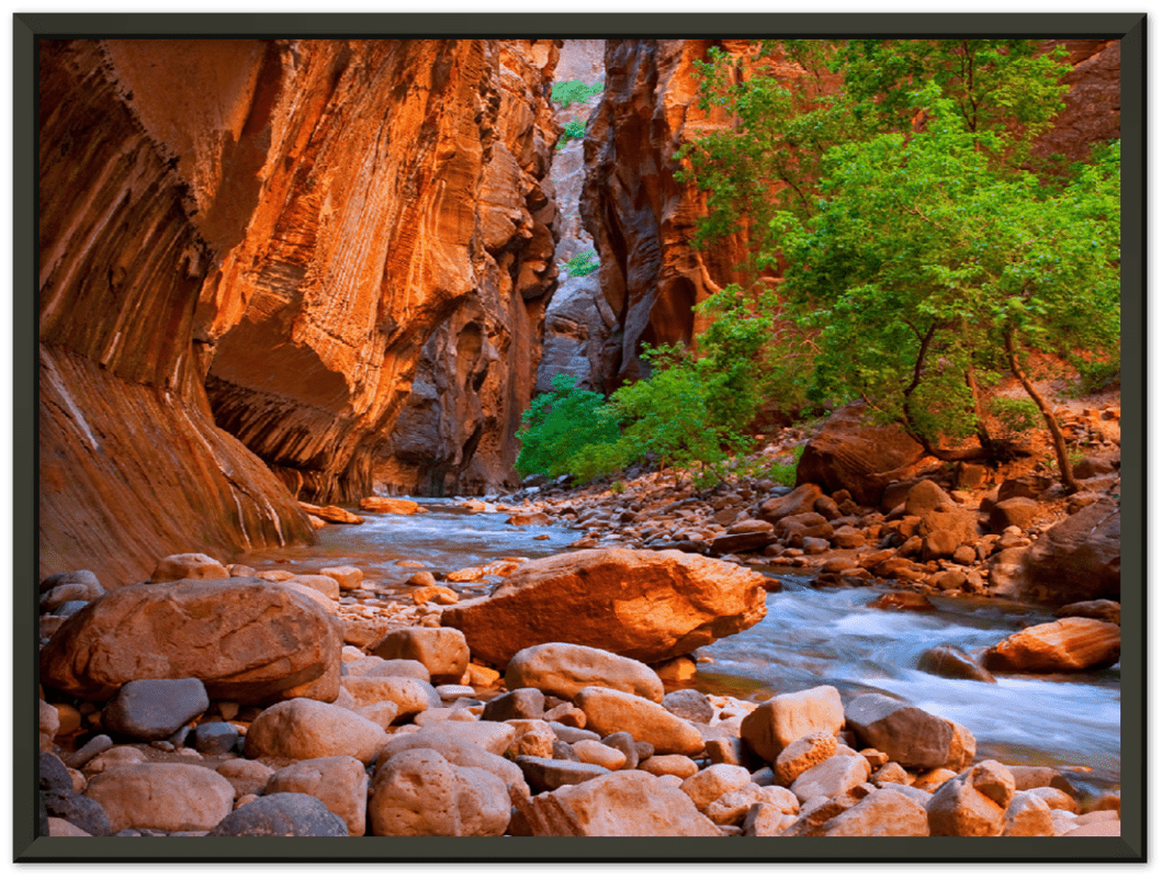 Virgin River, Zion National Park - Print - MetalPlex