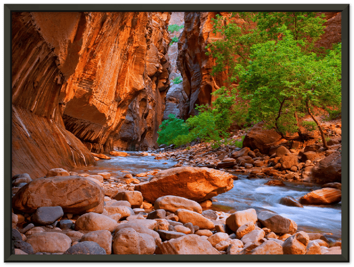 Virgin River, Zion National Park - Print - MetalPlex