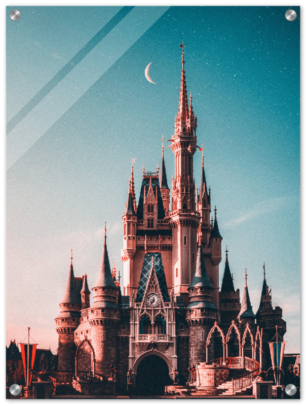 Walt Disney Castle - Print - MetalPlex