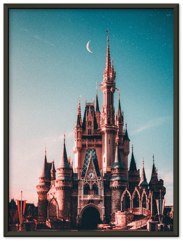 Walt Disney Castle - Print - MetalPlex