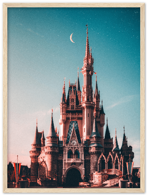 Walt Disney Castle - Print - MetalPlex