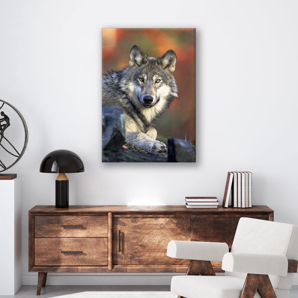 Wolf - Print - MetalPlex