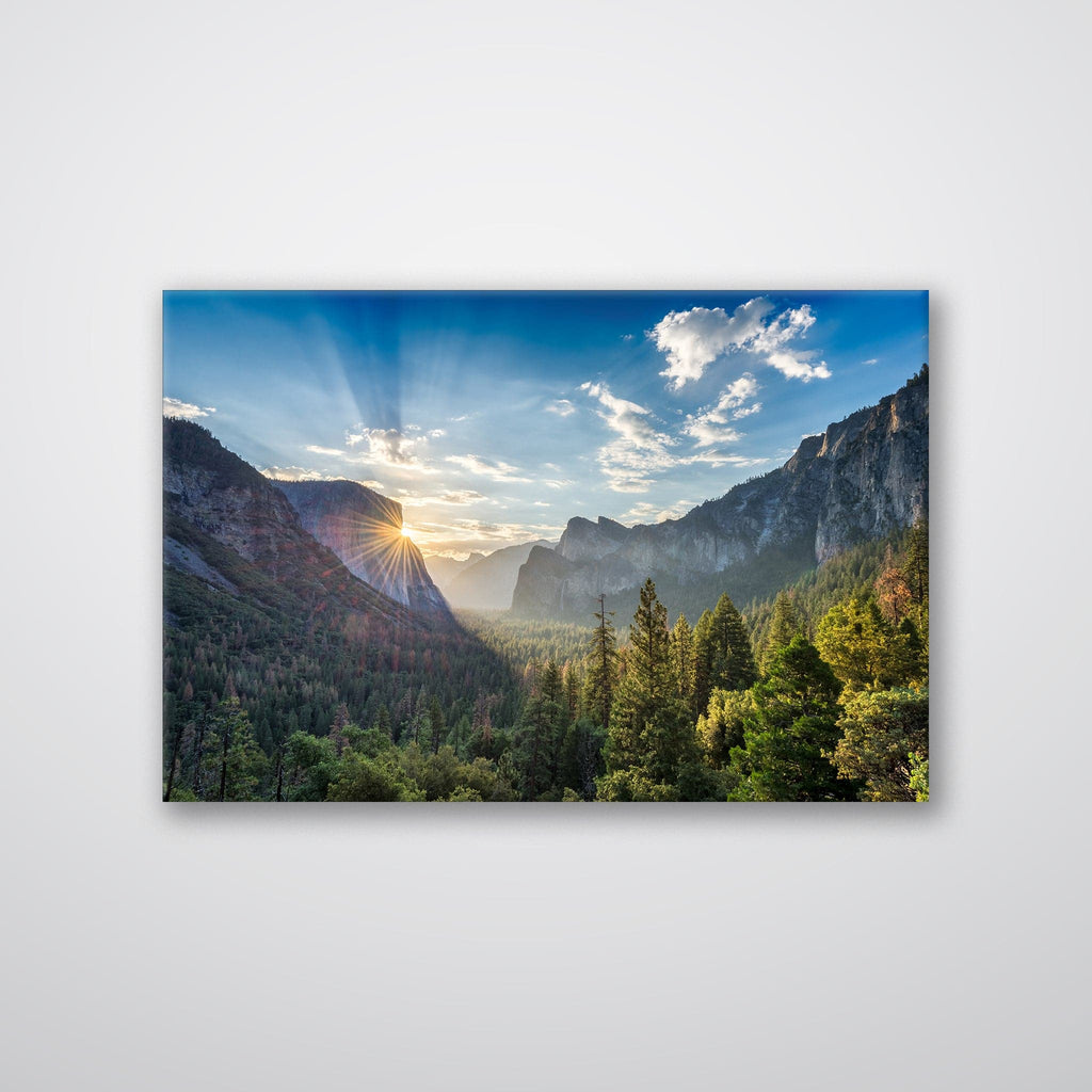 Yosemite Forest - Print - MetalPlex