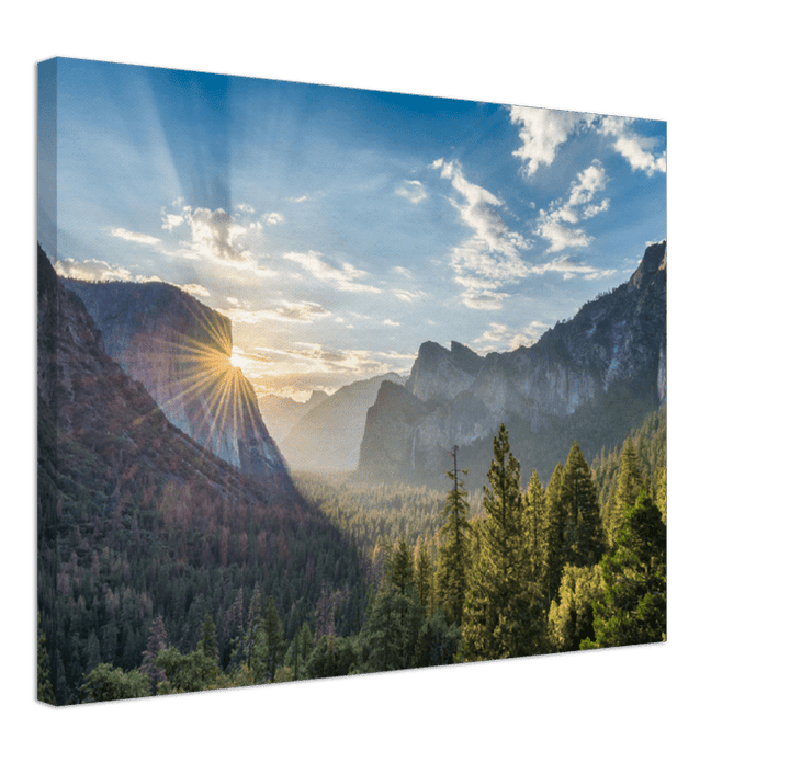 Yosemite Forest - Print - MetalPlex