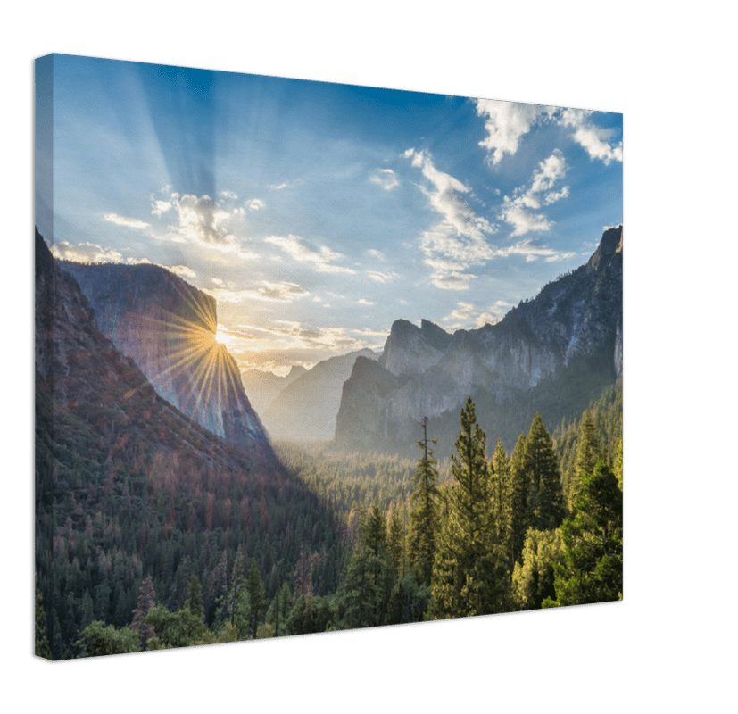 Yosemite Forest - Print - MetalPlex