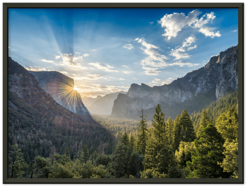 Yosemite Forest - Print - MetalPlex