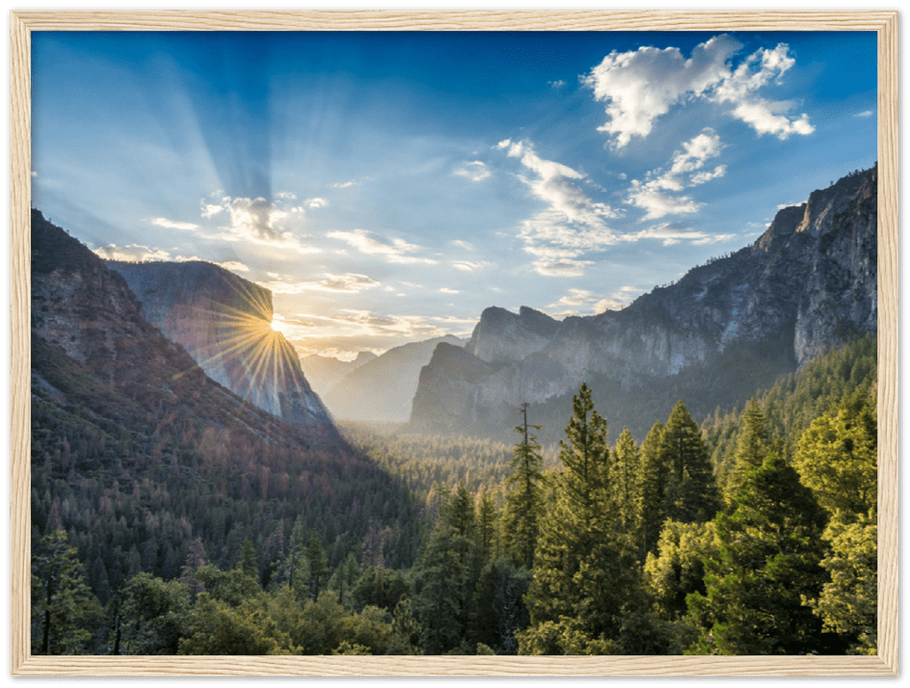 Yosemite Forest - Print - MetalPlex