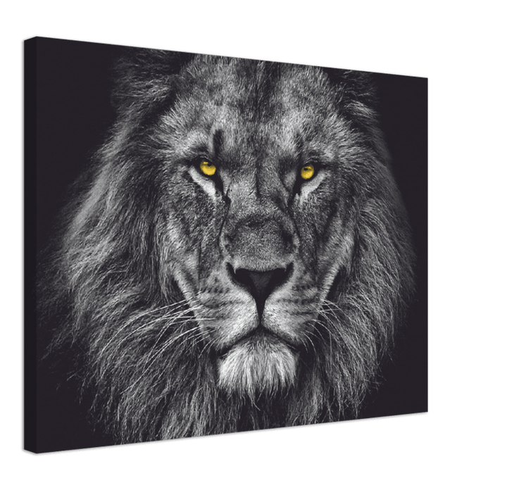 Lion Head - Print - MetalPlex