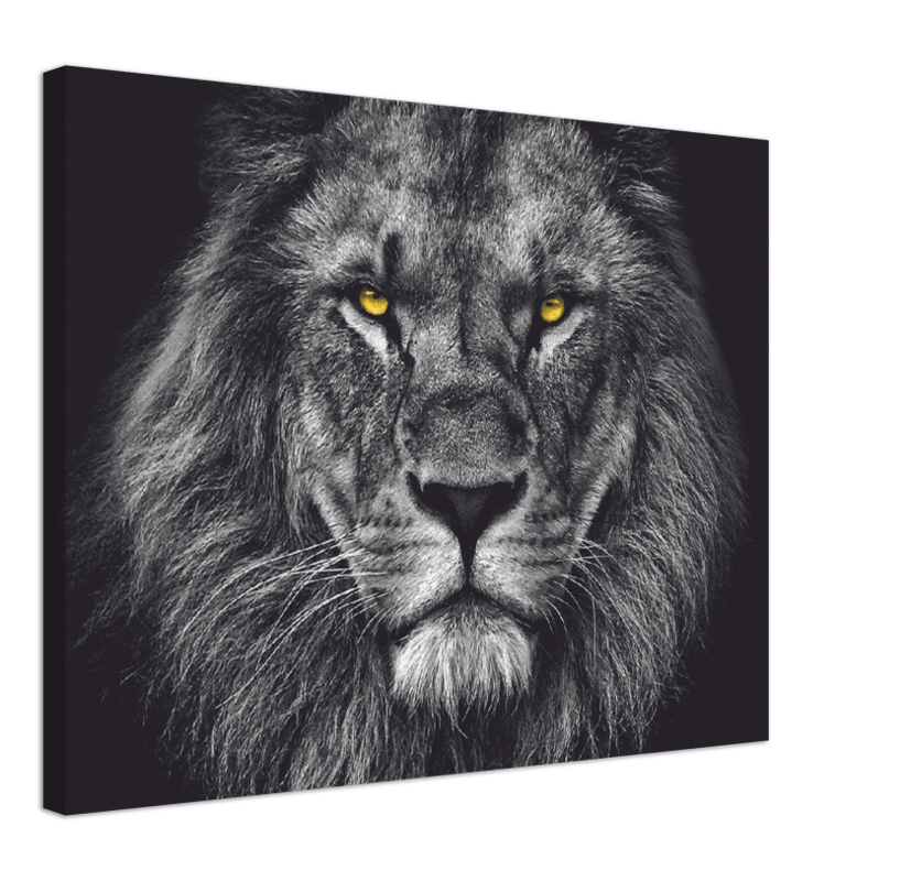 Lion Head - Print - MetalPlex