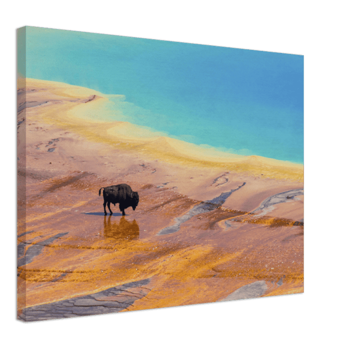 Yellowstone Prismatic Spring - Print - MetalPlex