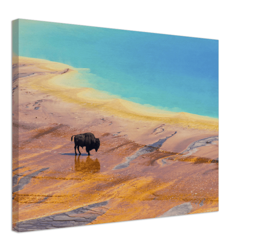 Yellowstone Prismatic Spring - Print - MetalPlex