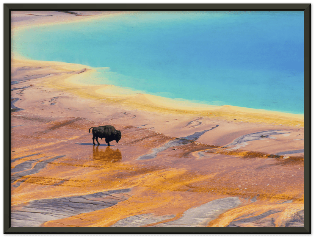 Yellowstone Prismatic Spring - Print - MetalPlex