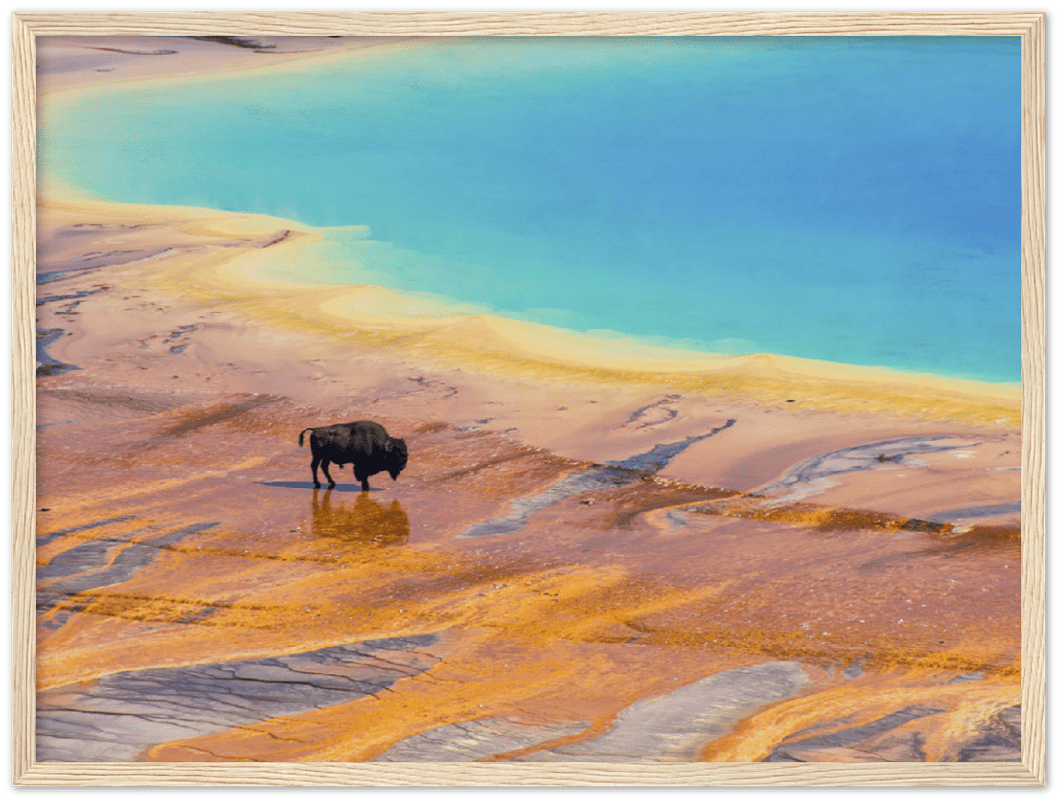 Yellowstone Prismatic Spring - Print - MetalPlex