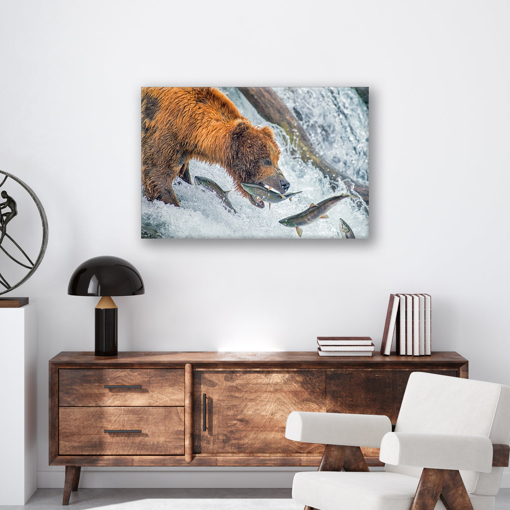 Bear Feeding - Print - MetalPlex