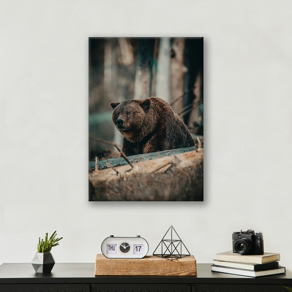 Bear in the Forest - Print - MetalPlex