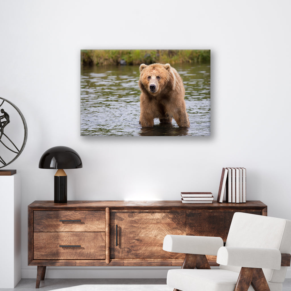 Bear in the Lake - Print - MetalPlex