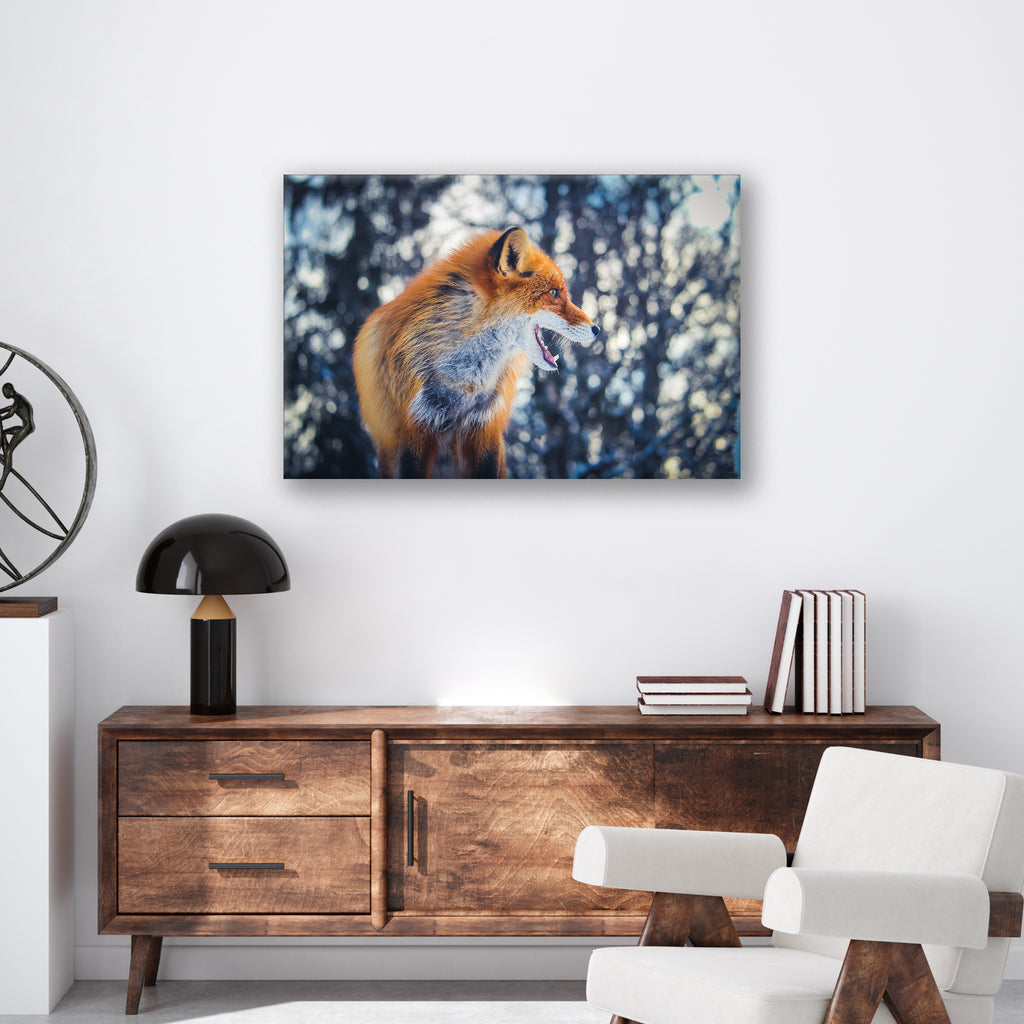 Curious Fox - Print - MetalPlex