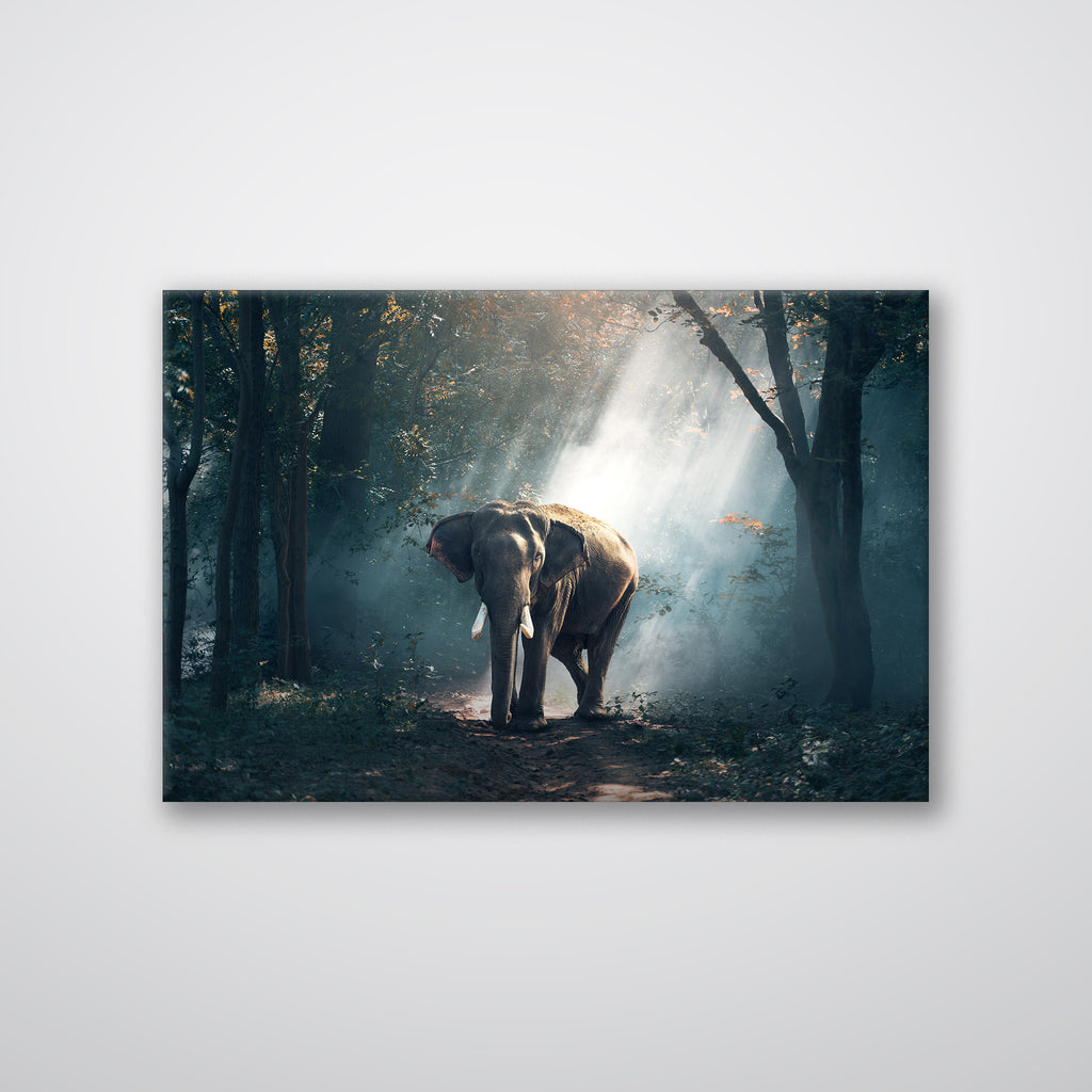 Elephant - Print - MetalPlex
