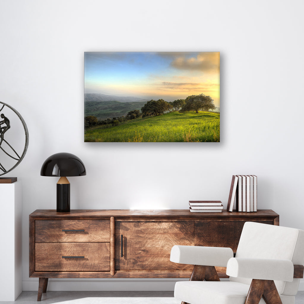 Hillside Trees - Print - MetalPlex