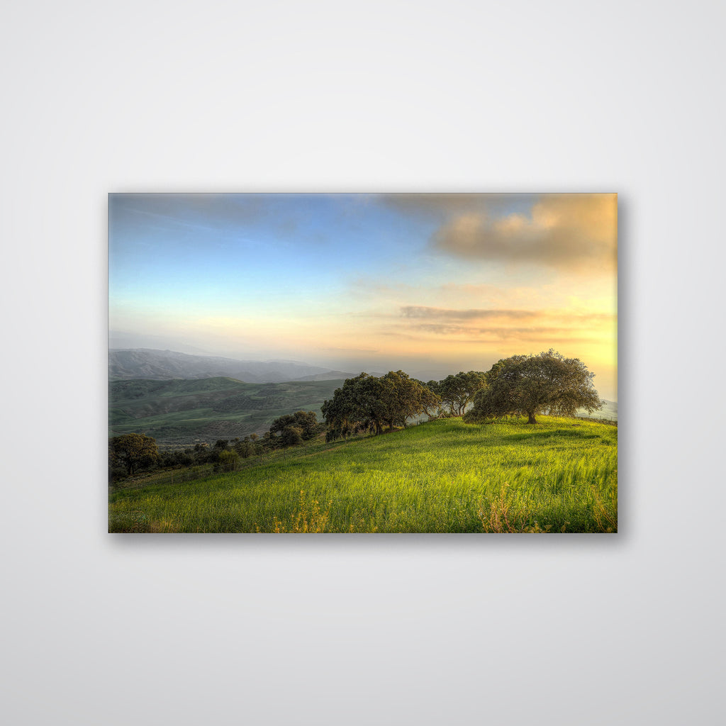 Hillside Trees - Print - MetalPlex