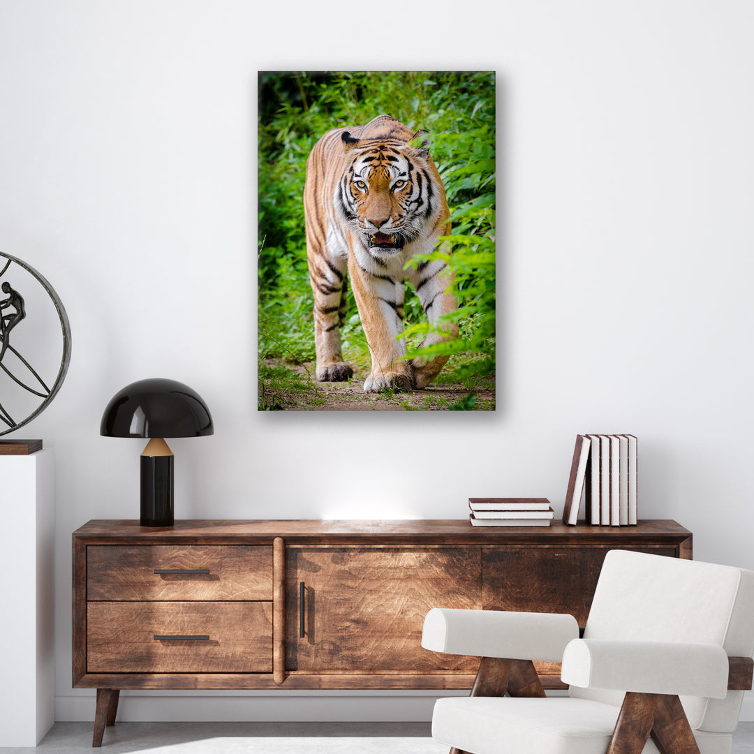 Hunting Tiger - Print - MetalPlex