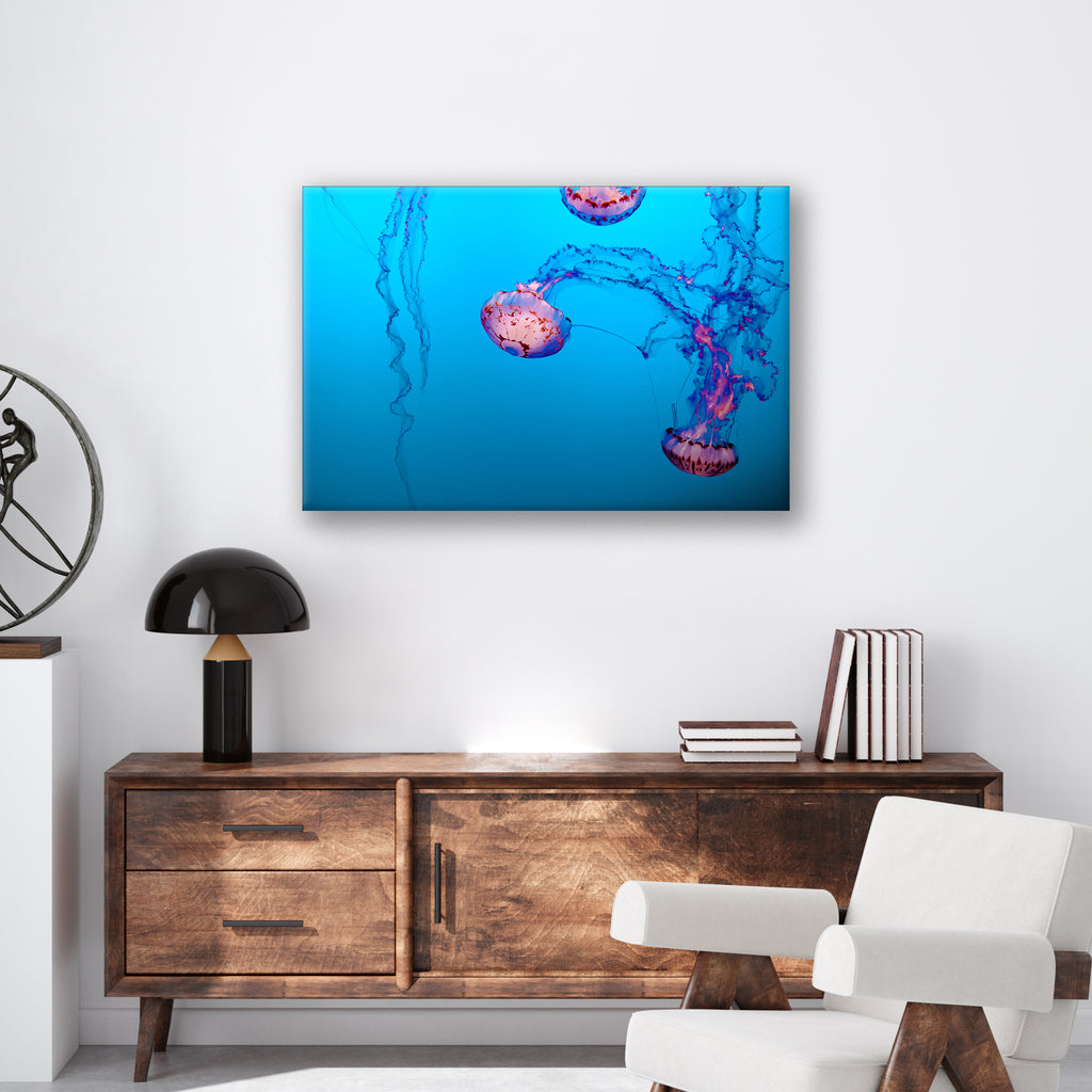 Jellyfish - Print - MetalPlex