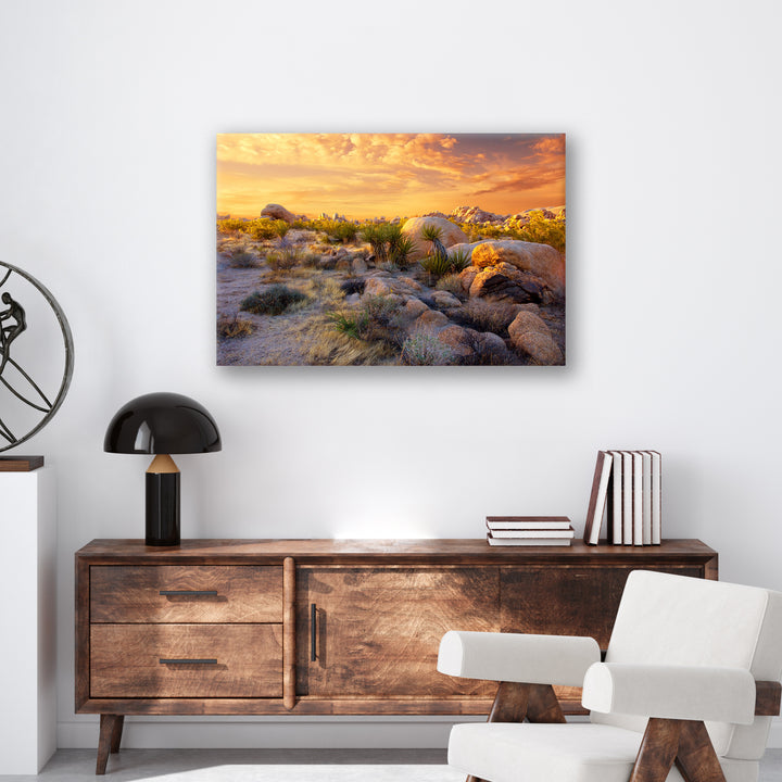 Joshua Tree Sunset - Print - MetalPlex