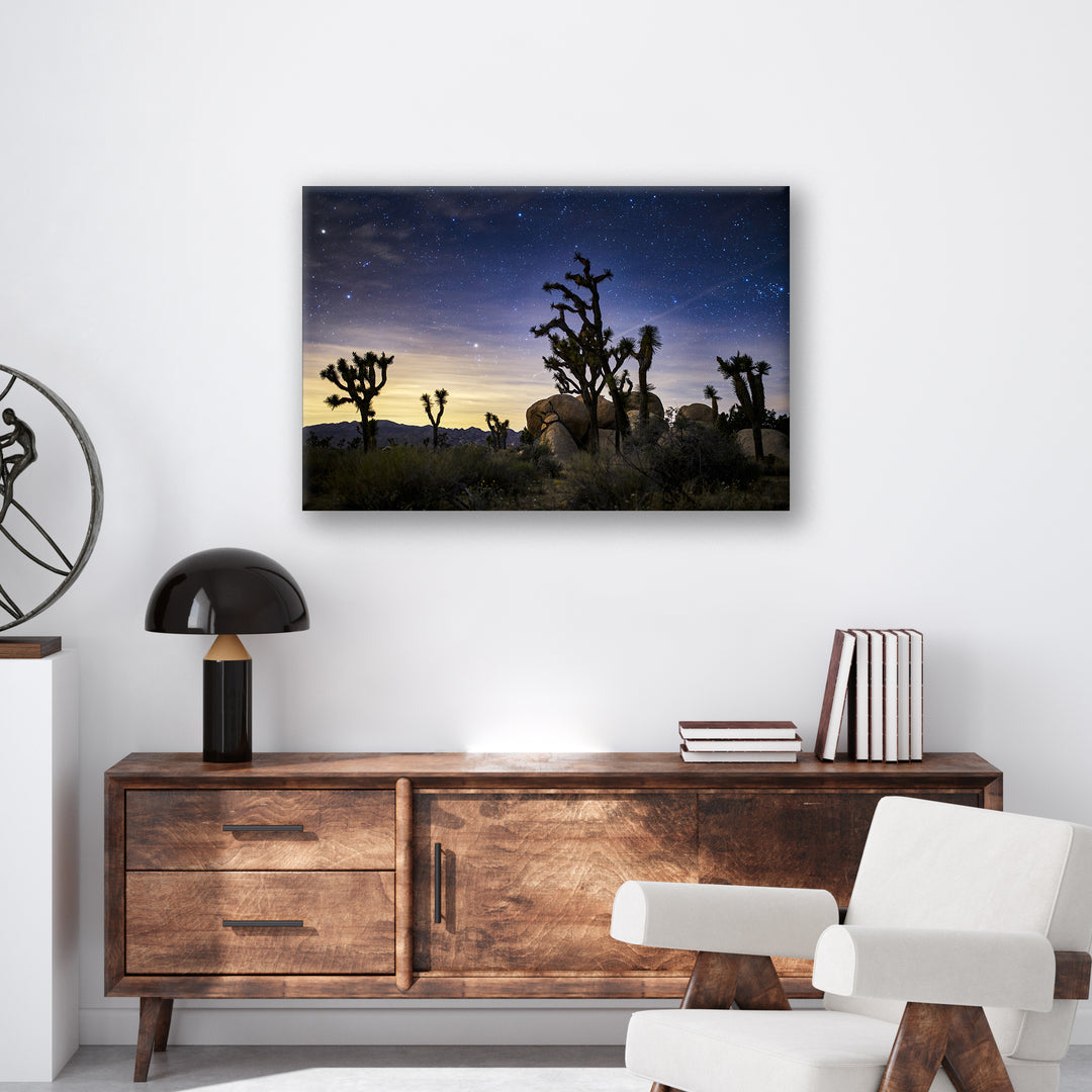 Joshua Tree - Print - MetalPlex
