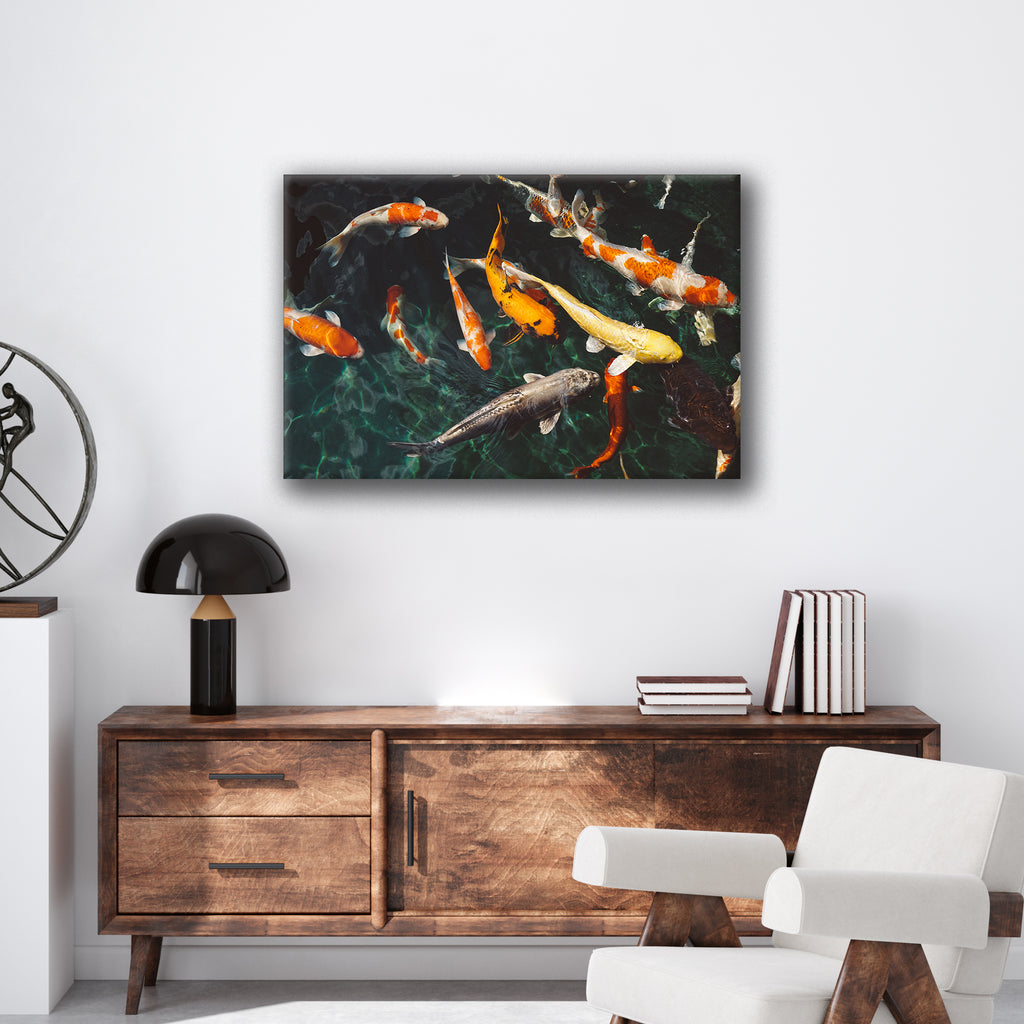 Koi Fish - Print - MetalPlex