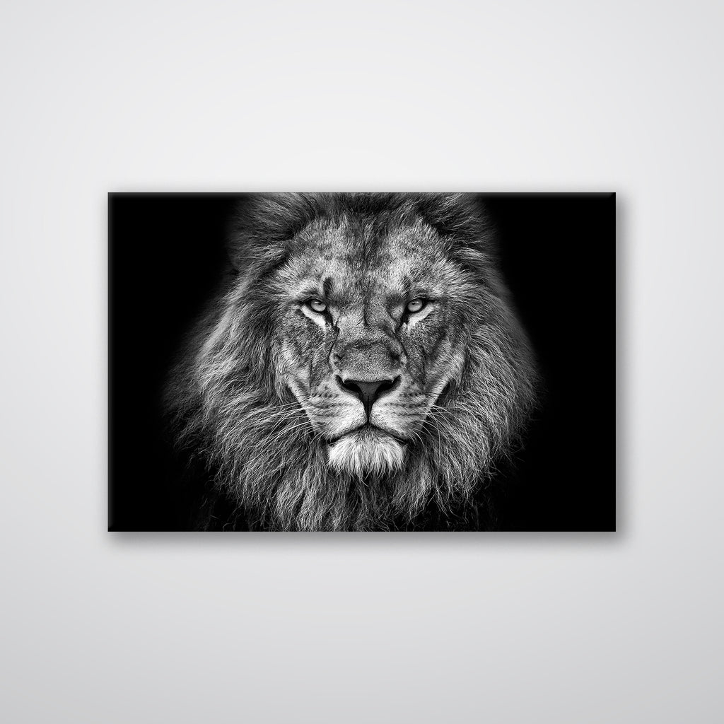Lion Head - Print - MetalPlex