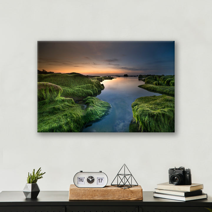 Mossy Beach - Print - MetalPlex